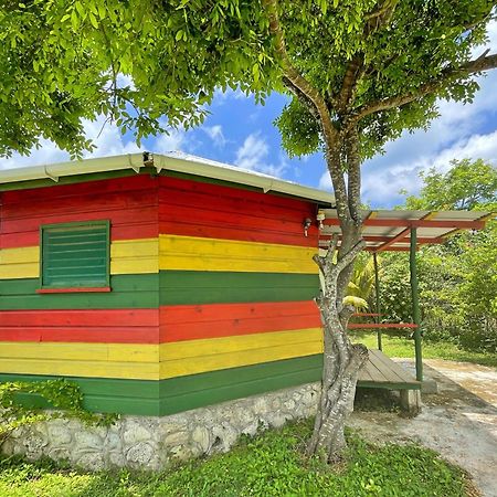 Judy House 2 - Lewis Backpacker Hostel Little Bay Quarto foto